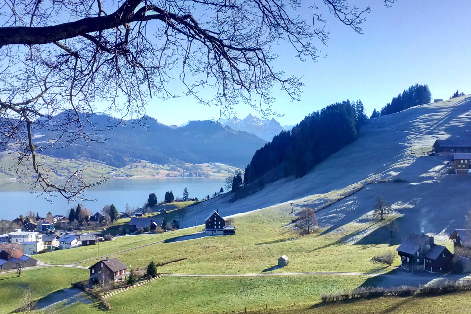Switzerland, mountains, fresh, landscape
