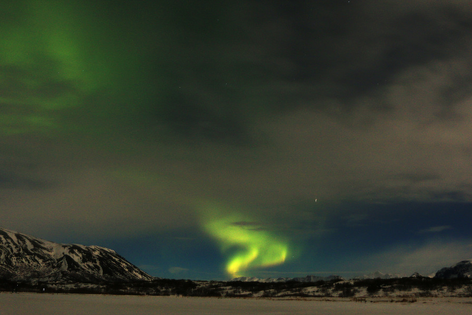 Iceland, Northern lights, distance, green lights, vacation, night